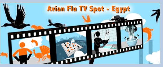 Avian Flu TV Spot - Egypt